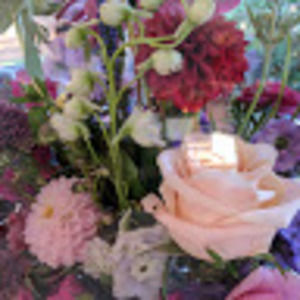 Meet your Posher, Elyse